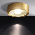 Elegant Copper Ceiling Lamp LuminousLivingStyle