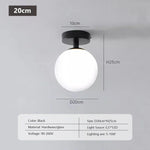 Compact Nordic Glass Ceiling Lamp