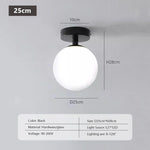 Compact Nordic Glass Ceiling Lamp