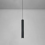 Modern Double Head Pendant Lamp