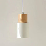 Single Head Minimalist Pendant Lamp LuminousLivingStyle