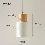 Single Head Minimalist Pendant Lamp LuminousLivingStyle