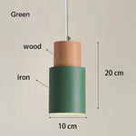 Single Head Minimalist Pendant Lamp LuminousLivingStyle